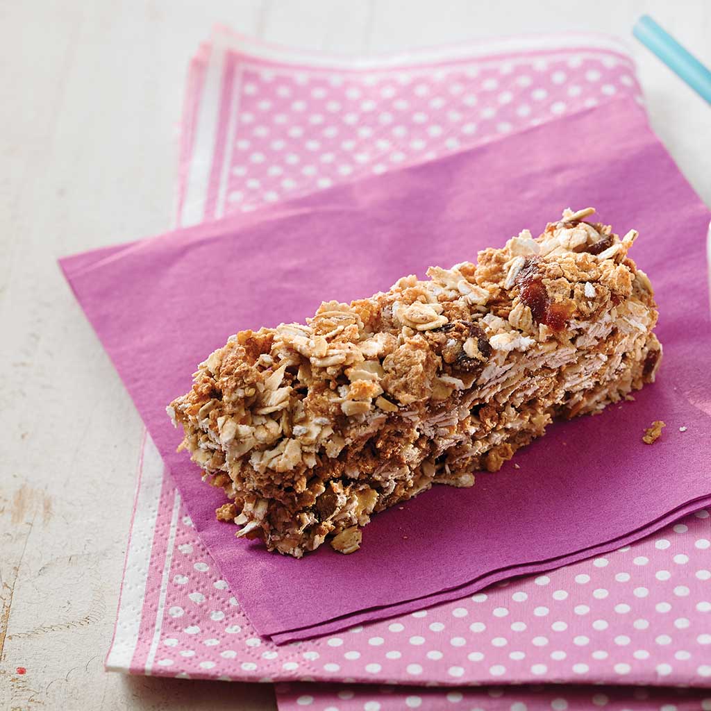 No Bake Toasted Oat Granola Bars